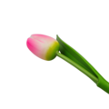 Tulip on stem 33cm - 7 colors in stock - TEMPORARY DISCOUNT
