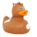 Dutch Ducky Pony Duck