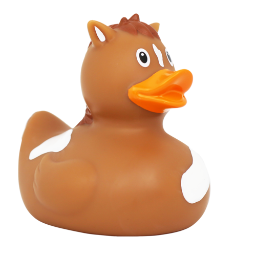 Dutch Ducky Pony Duck