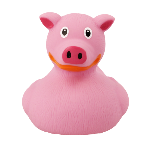 Dutch Ducky Pig Duck