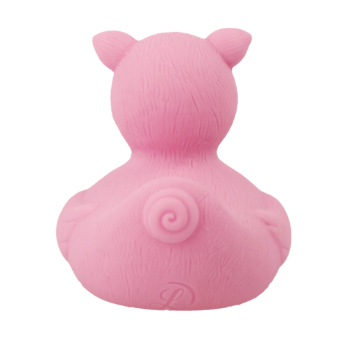 Dutch Ducky Pig Duck