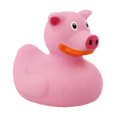 Dutch Ducky Pig Duck