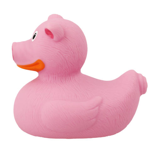 Dutch Ducky Pig Duck