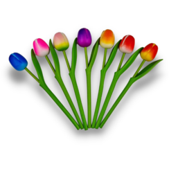 Tulip on stem 24cm - 8 colors in stock