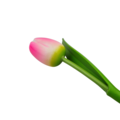 Tulp op steel 24cm - bestel hier per kleur (8 kleuren)