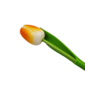 Tulp op steel 24cm - bestel hier per kleur (8 kleuren)