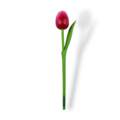Tulip on stem 24cm - 8 colors in stock - SALE