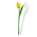 Tulip on stem 33cm - 7 colors in stock - TEMPORARY DISCOUNT