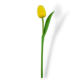 Tulip on stem 33cm - 8 colors in stock