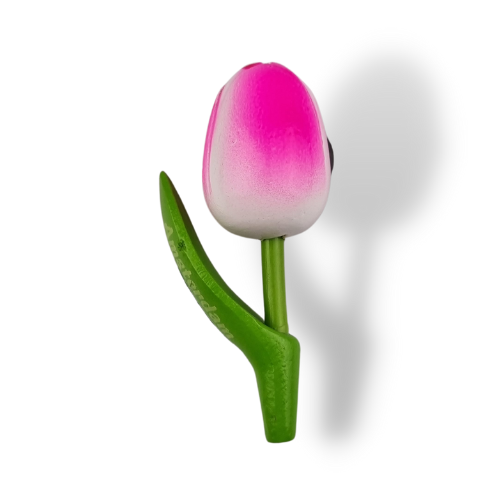 Tulip Magnets - 7 colors in stock with text: Holland