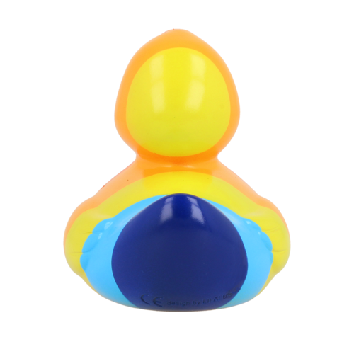 Dutch Ducky Rainbow duck