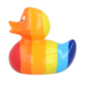 Dutch Ducky Rainbow duck