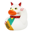 Dutch Ducky Lucky cat duck