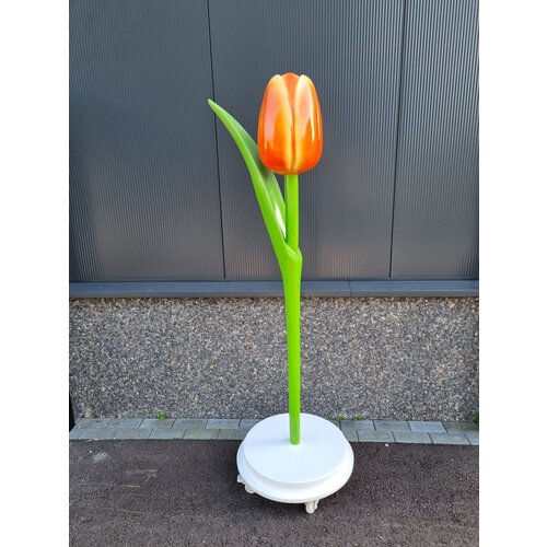 Tulips display (empty)