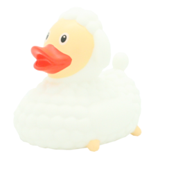 Duck Schaap