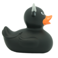Dutch Ducky Duck Stier zwart