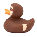 Dutch Ducky Duck Sloth