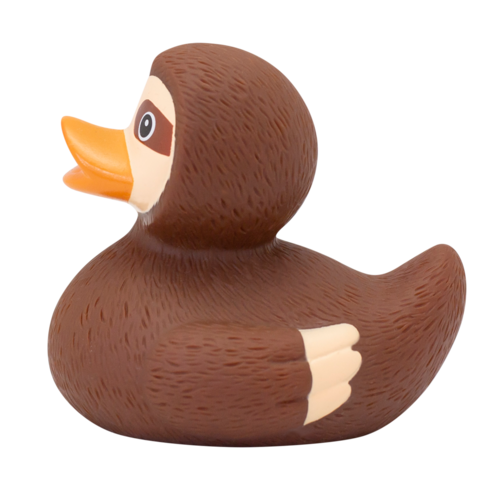 Dutch Ducky Duck Sloth