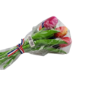 Tulips on stem 18cm - bunch of tulips - choose from 3 colorsets