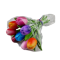 Boeketje tulpen - 18cm tulpen op steel - kies uit drie kleurencombi's