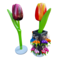 Tulips table display with tulip keyhangers and magnets