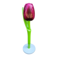Tulips table display with tulip keyhangers and magnets
