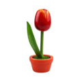 Tulip in pot - Holland - 10cm