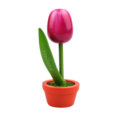 Tulip in pot - Holland - 10cm