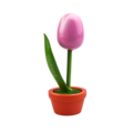 Tulip in pot - Holland - 10cm