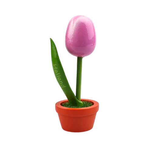 Tulip in pot - Holland - 10cm