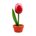 Tulip in pot - Holland - 10cm