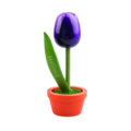 Tulip in pot - Holland - 10cm