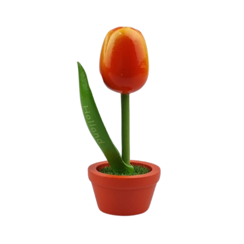 Tulip in pot - Holland - 10cm
