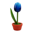 Tulip in pot - Holland - 10cm
