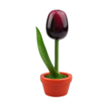 Tulip in pot - Holland - 10cm