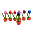 Tulip in pot - Holland - 10cm