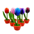 Tulip in pot - Holland - 10cm
