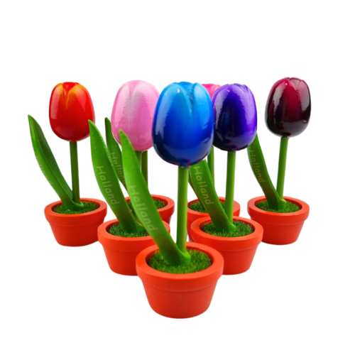 Tulip in pot - Holland - 10cm