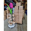 350 boeketjes 18cm + tulp display