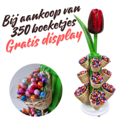Tulips display (empty) - Copy