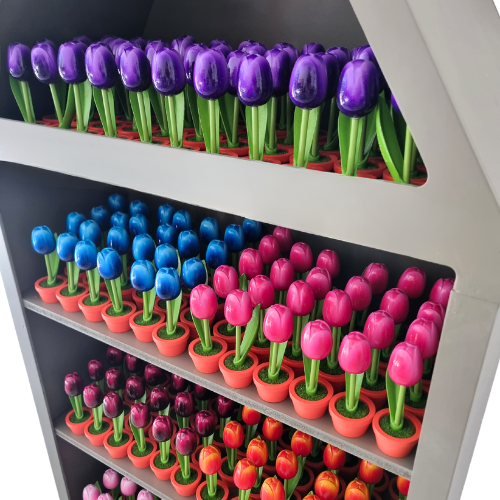 Display for Tulips in Pot - choose your package