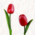 Tulp op steel 33cm - Kies uit 8 kleuren