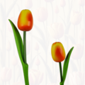 Tulp op steel 33cm - Kies uit 8 kleuren