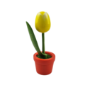 Tulip in pot - Amsterdam - 10cm