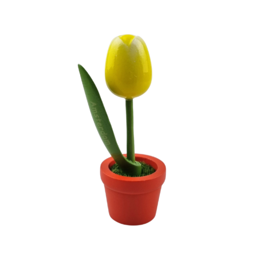 Tulip in pot - Amsterdam - 10cm