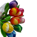 Boeketje tulpen - 18cm tulpen op steel - kies uit drie kleurencombi's