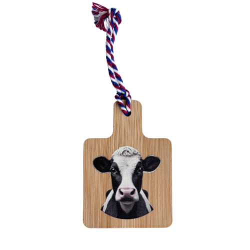 Mini kaasplank magneet met opener - alle uitvoeringen hier te bestellen -