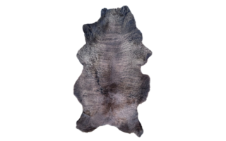 sheep skins