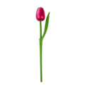 Tulip on stem 33cm - 8 colors in stock