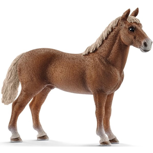 Schleich 13869 - Morgan, hengst